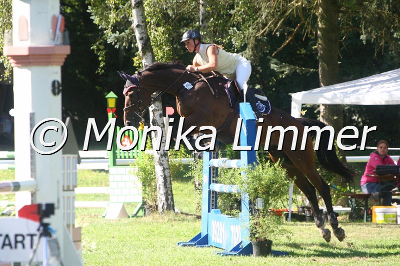 308M1266_Spring L.JPG